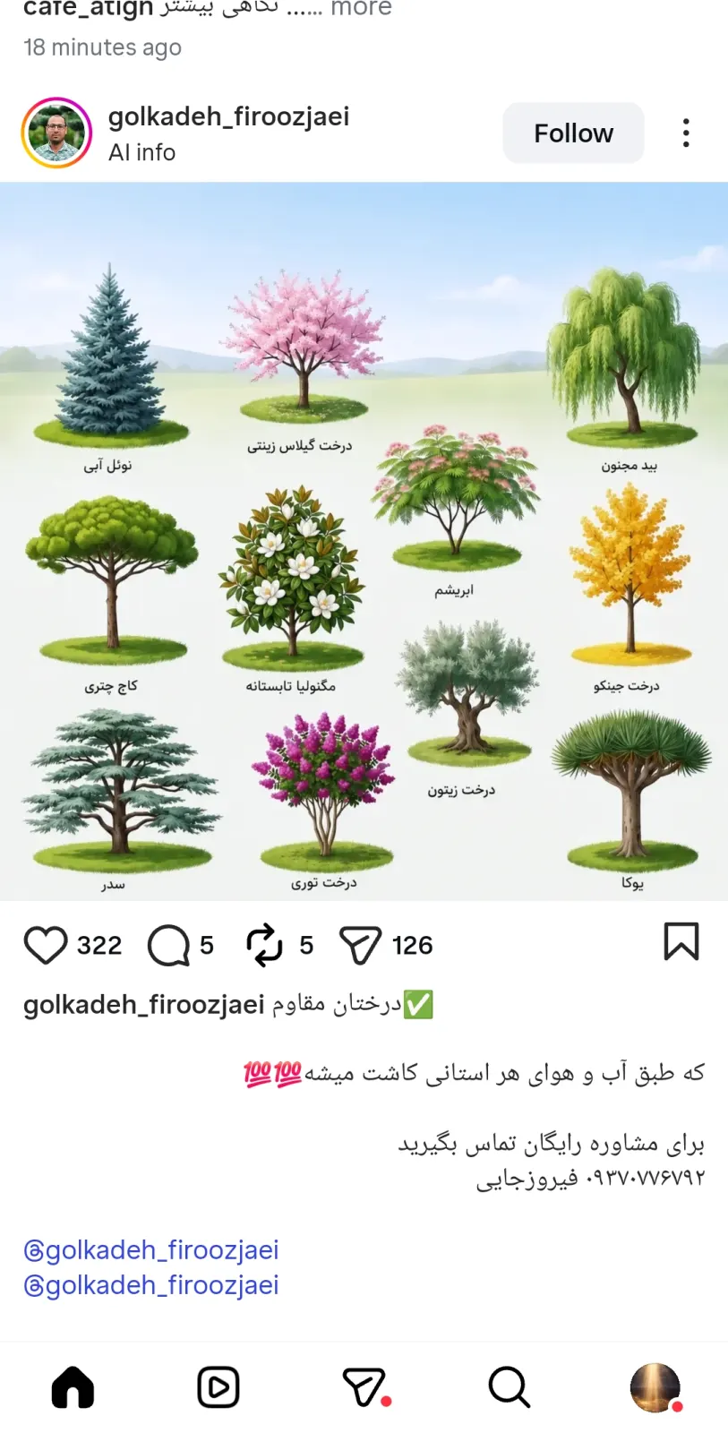 souren.far